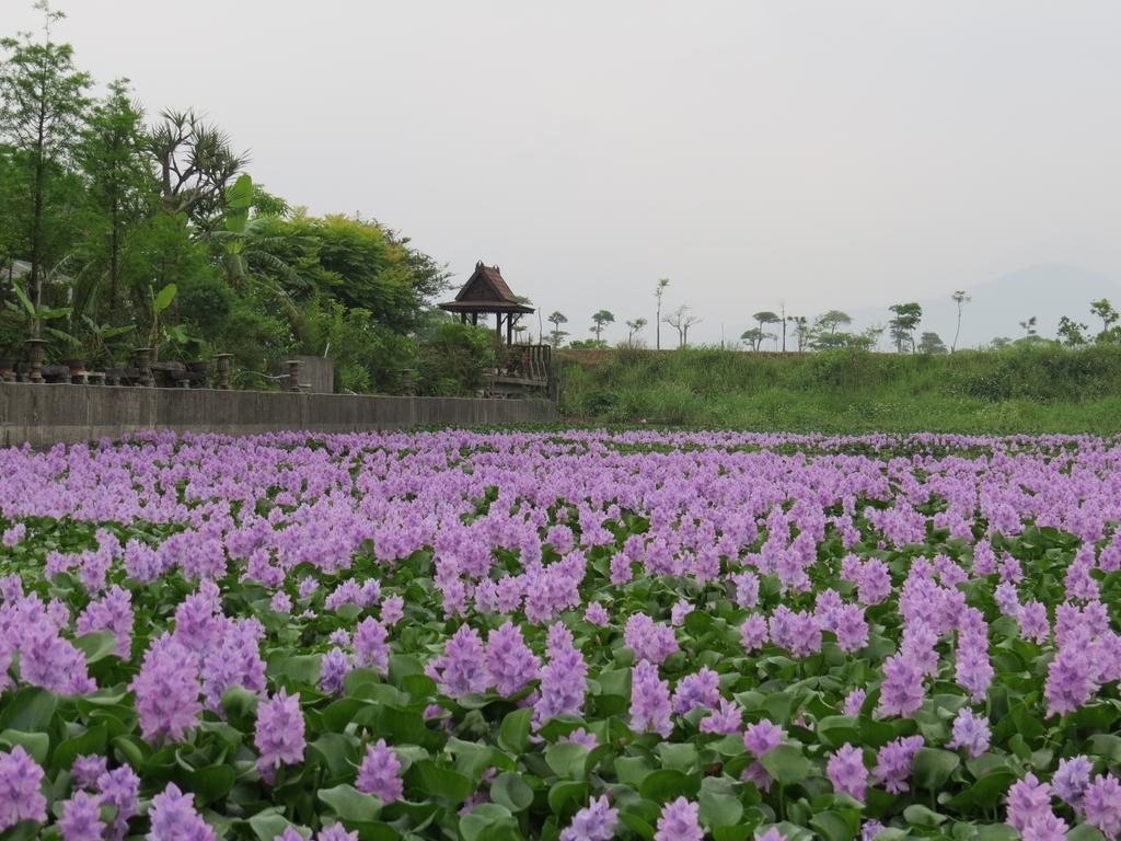 Beautiful Yilan Resort Dongshan  Exterior photo